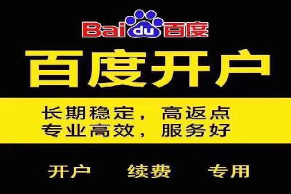 案例分享：SEO与SEM优化效果对比